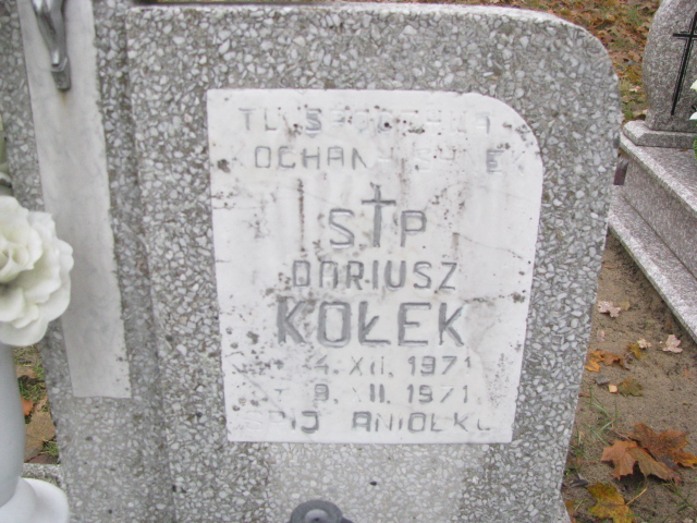 Dariusz Kołek 1971 Otyń - Grobonet - Wyszukiwarka osób pochowanych