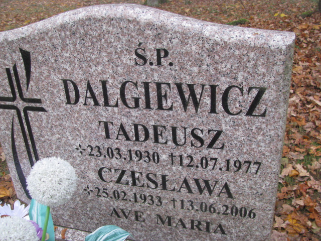Tadeusz Dalgiewicz 1930 Otyń - Grobonet - Wyszukiwarka osób pochowanych