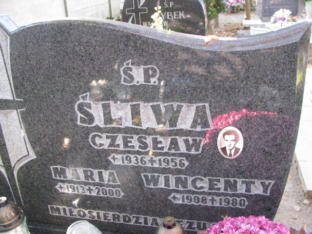 Czesław Śliwa 1935 Otyń - Grobonet - Wyszukiwarka osób pochowanych